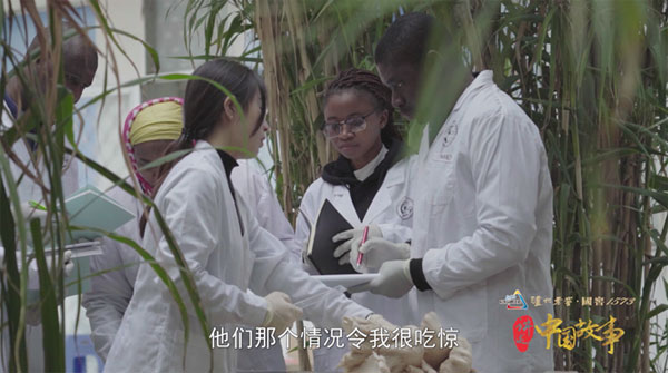 图为来中国学习菌草技术的留学生