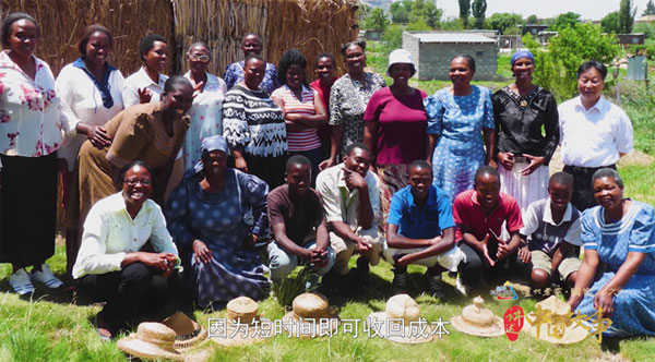 图为林占熺在海外推广菌草技术