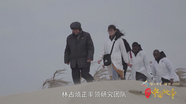 图为林占熺带领研究团队研究菌草固沙技术