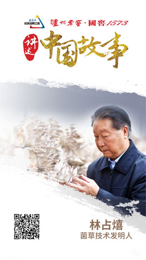中国草-全球种——菌草技术发明人林占熺