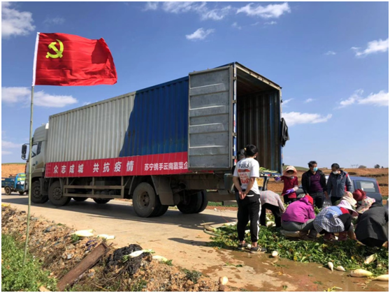 苏宁党员突击队牵头采摘并运送100顿蔬菜捐献给武汉医院