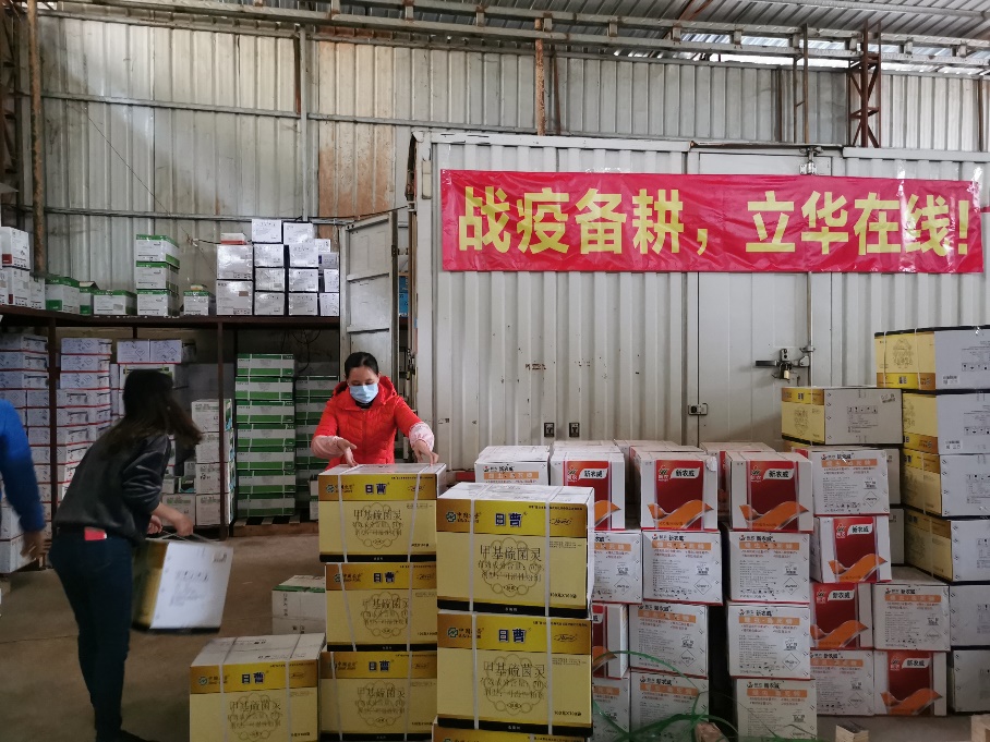 中农立华广东公司积极向市场供应农药，防治柚子春季病害