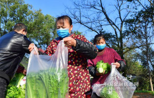 在广西桂林市临桂区中庸镇穴田村泗林屯，村民在分装蔬菜（2月16日摄）。