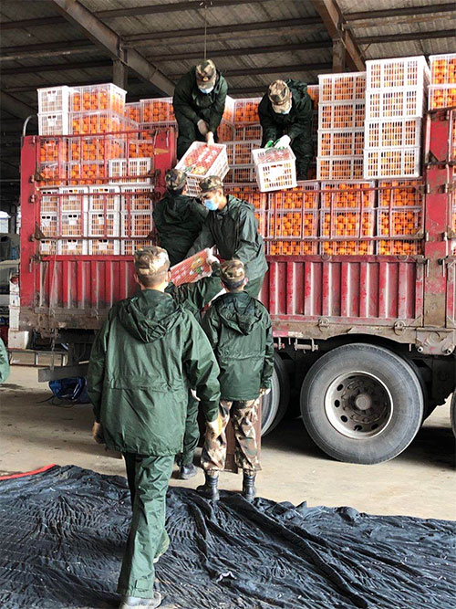 2月22日，由重庆忠县捐赠的60吨“忠橙”运抵孝感。4