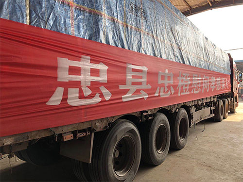 2月22日，由重庆忠县捐赠的60吨“忠橙”运抵孝感。5