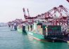 【港口看经济】中港协：八大枢纽港上周集装箱吞吐量环比增40.2%