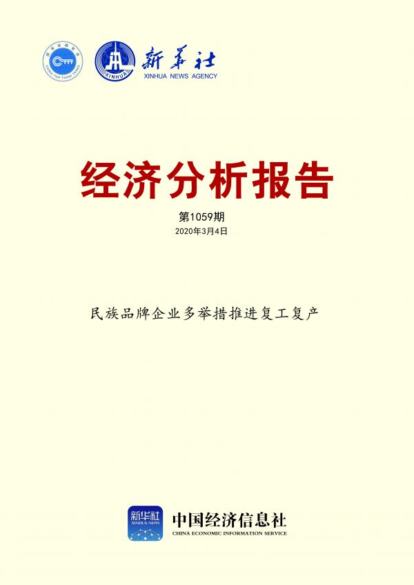 民族品牌企业多举措推进复工复产报告封面