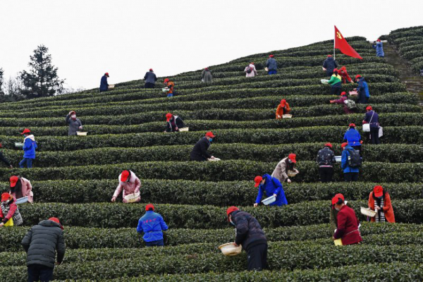 重庆市残联组建党员突击队 开展学雷锋志愿服务1