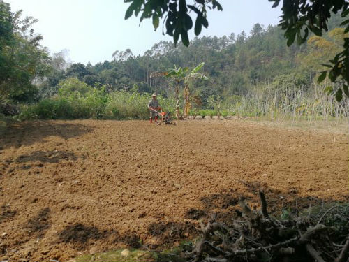 钦州市钦北区大寺镇南间村村民在田间开展春耕生产（2月22日摄）。