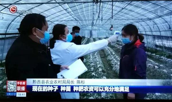贵州新闻联播报道了疫情防控期间黔西县复耕复产情况