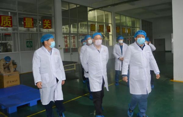 民进福建省委主委、福州市副市长严可仕调研春伦集团复工复产情况2