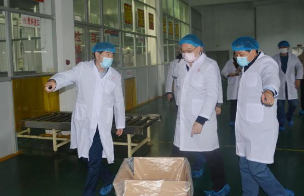 民进福建省委主委、福州市副市长严可仕调研春伦集团复工复产情况3