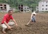 贵州：农业保险“花小钱”保收入稳市场