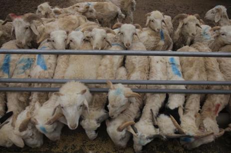 MAIN202008241636000036709812507 MAIN202008241636000036709812507