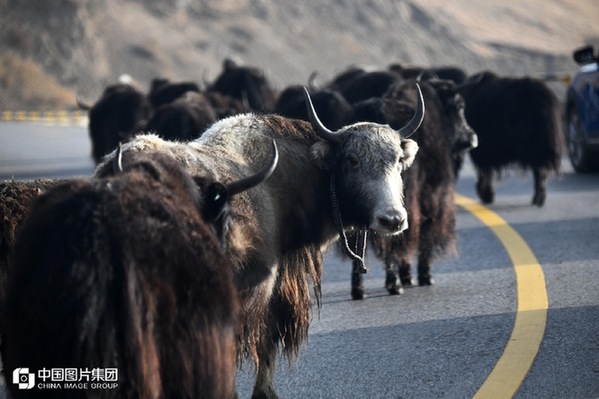 139502604_16048948968161n