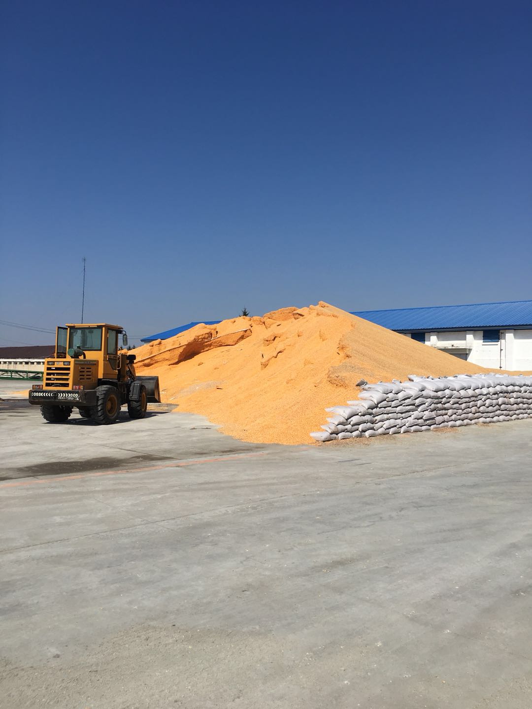 微信图片_20201119142754.jpg 微信图片_20201119142754.jpg