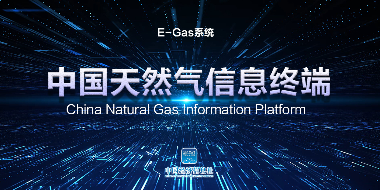 E-Gas配图.jpg