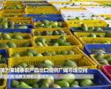 中国为柬埔寨农产品出口提供广阔市场空间