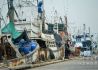 疫情下的泰国渔船码头