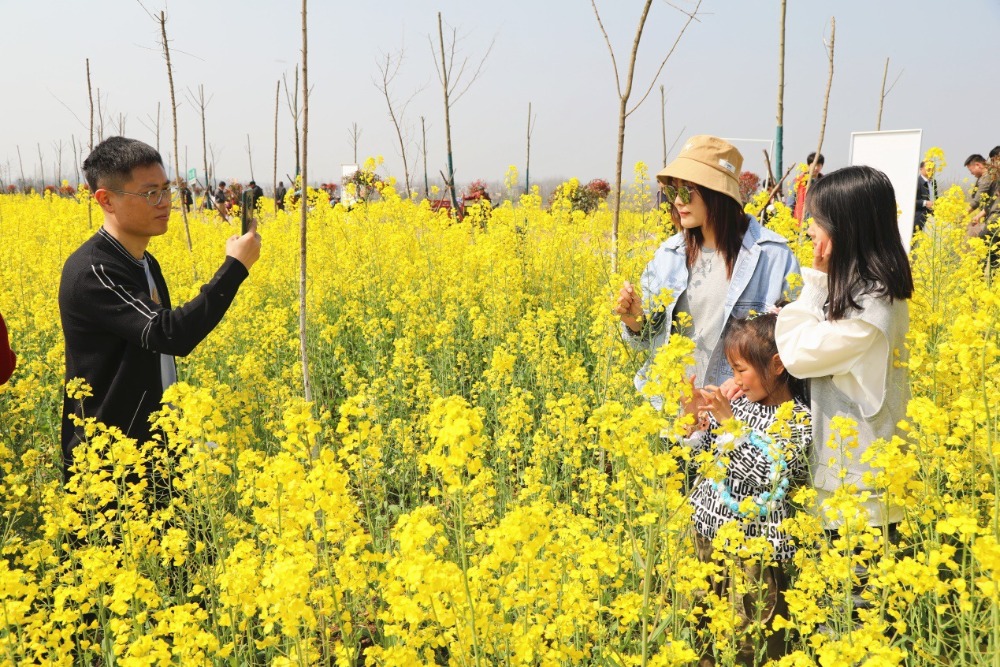 图片3.png 图片3.png