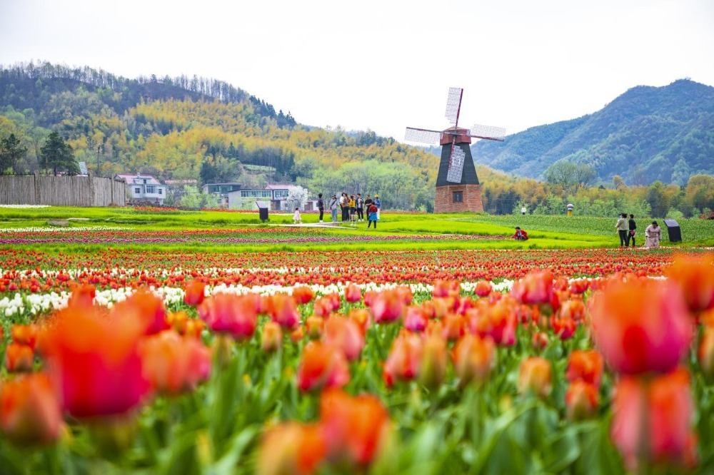 图片2.png 图片2.png