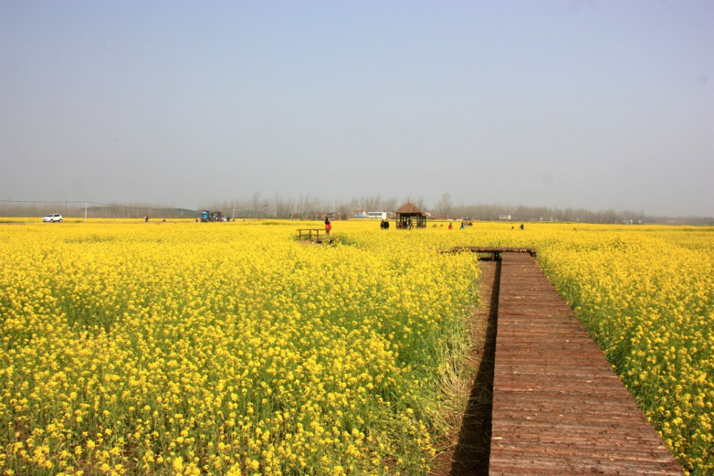 图片6.png 图片6.png