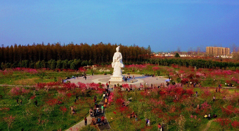 图片5.png 图片5.png