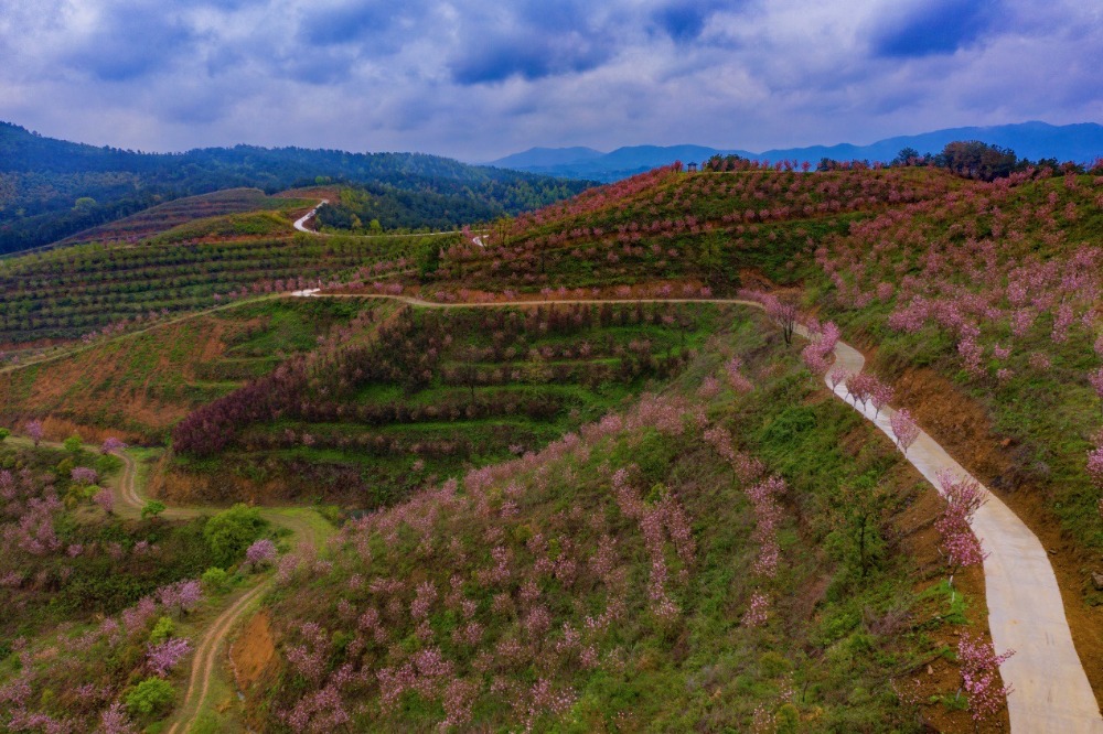 图片4.png 图片4.png