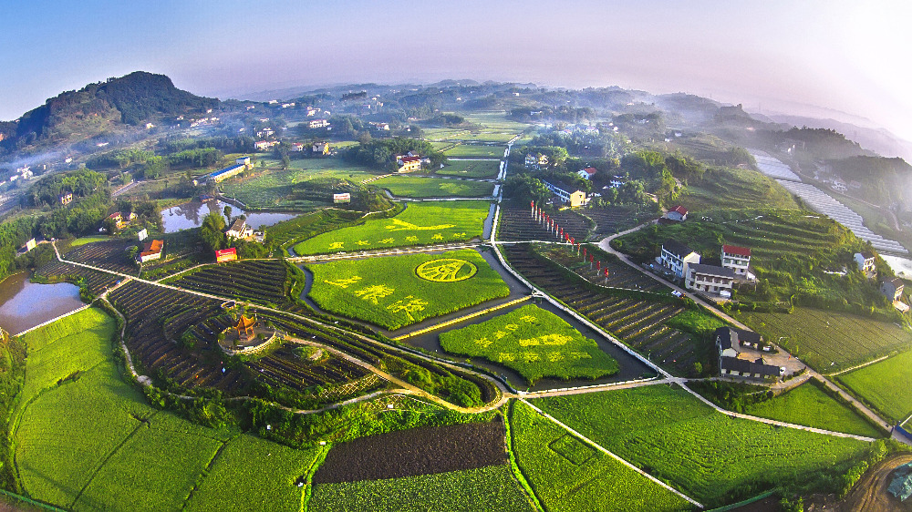粮食基地.jpg 粮食基地.jpg