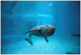 无标题1.png 无标题1.png