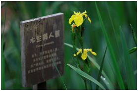 无标题2.png 无标题2.png