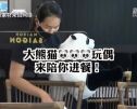 保持社交距离 泰国餐厅放熊猫玩偶陪吃饭！