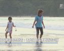 泰国海滩清理志愿者：让我们的海滩更清洁美丽