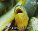 大黄鱼是中国海鲜美食，那么它来自哪里？带你去看看。